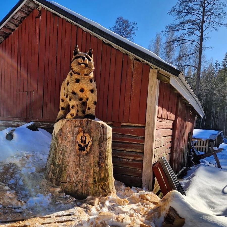 Katiskosken Joenrantamoekki Villa Hämeenlinna Eksteriør billede